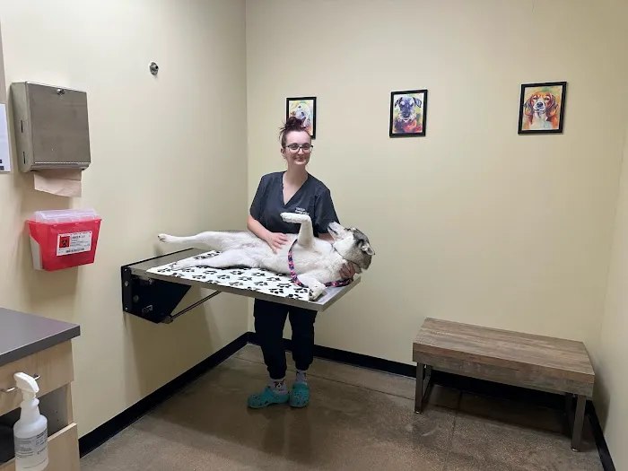 Vetco Total Care Animal Hospital Picture 3