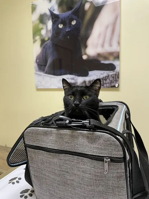 Vetco Total Care Animal Hospital Picture 8