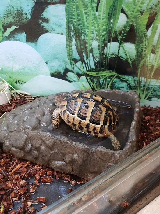 Vetco Total Care Animal Hospital Picture 9