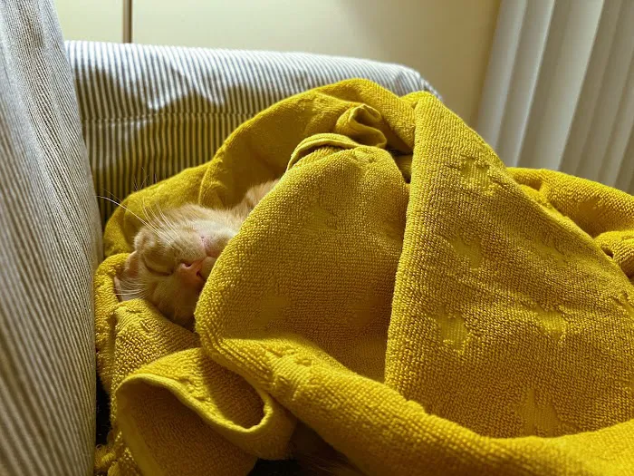 Vetco Total Care Animal Hospital Picture 10