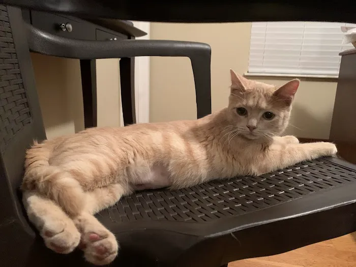 APA Wellness Clinic Picture 1