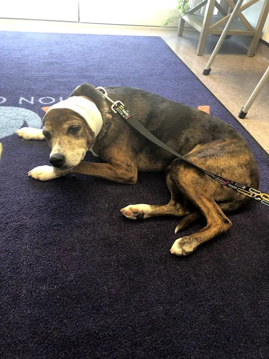 APA Wellness Clinic Picture 2