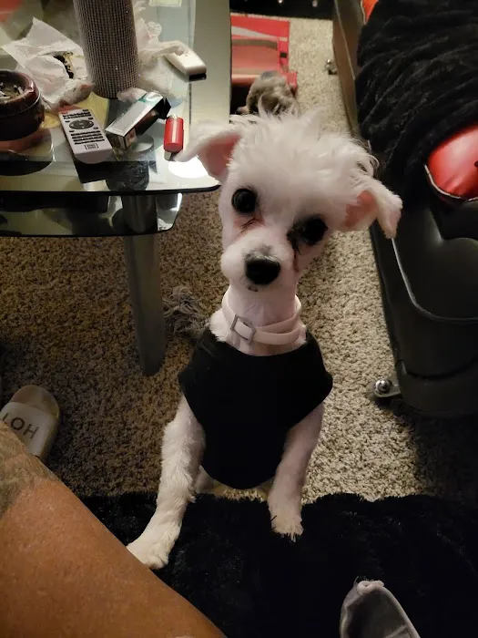 APA Wellness Clinic Picture 4