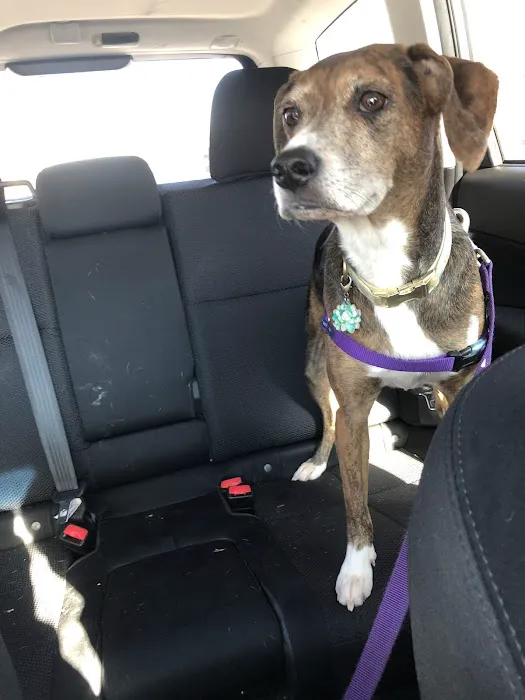 APA Wellness Clinic Picture 3