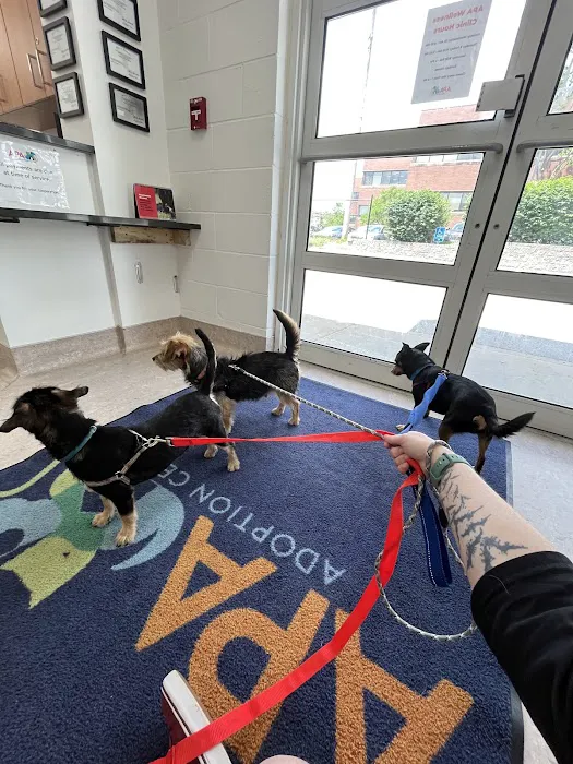 APA Wellness Clinic Picture 5