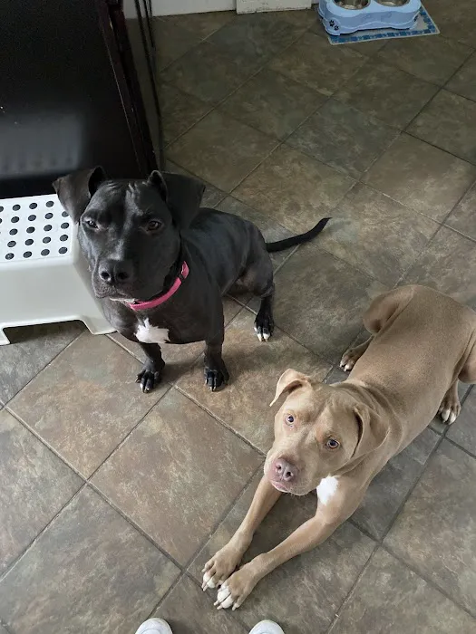 APA Wellness Clinic Picture 7