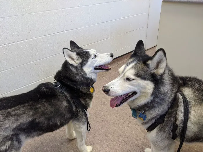 APA Wellness Clinic Picture 8