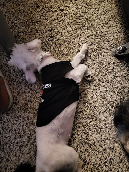 APA Wellness Clinic Picture 6