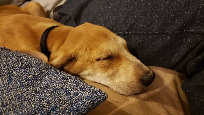 APA Wellness Clinic Picture 9