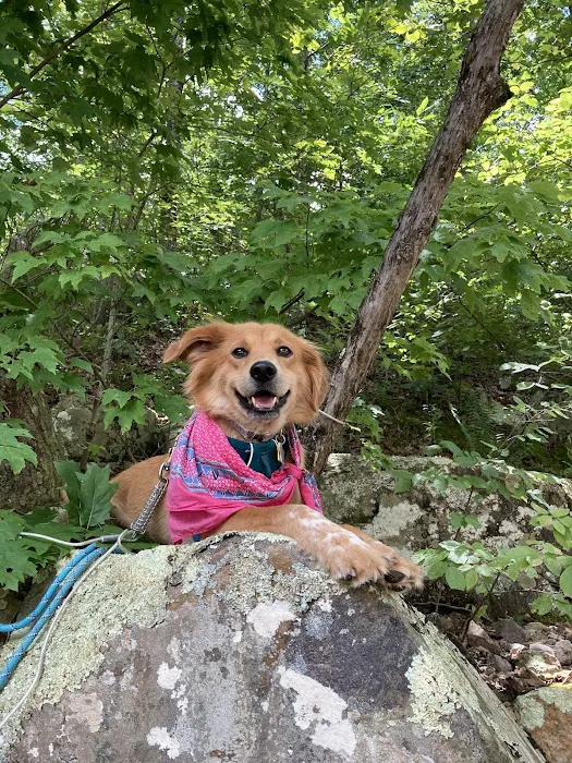 APA Wellness Clinic Picture 10