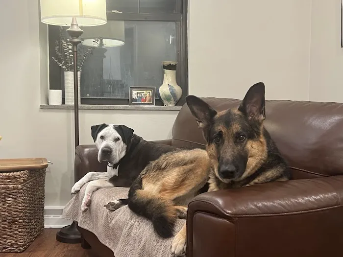 Banfield Pet Hospital Picture 1