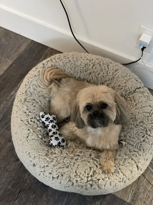 Banfield Pet Hospital Picture 5