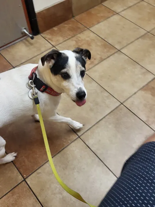 Banfield Pet Hospital Picture 2