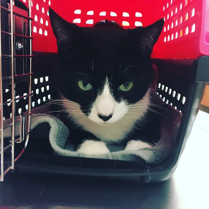 Banfield Pet Hospital Picture 3