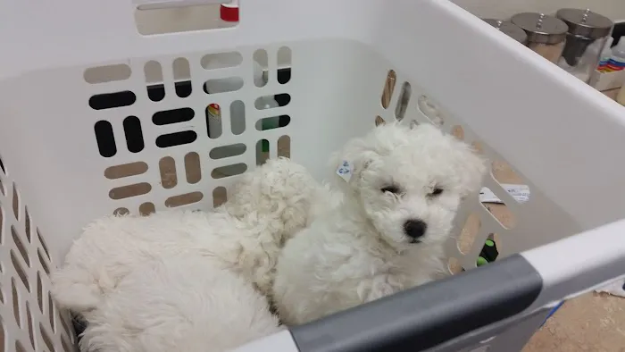 Banfield Pet Hospital Picture 7