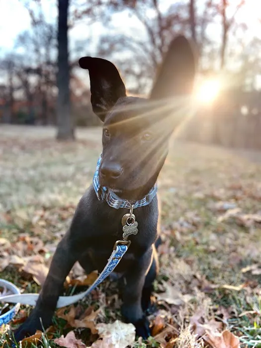 Hampton Animal Hospital Picture 4