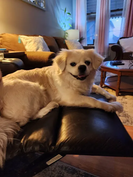 Hampton Animal Hospital Picture 2