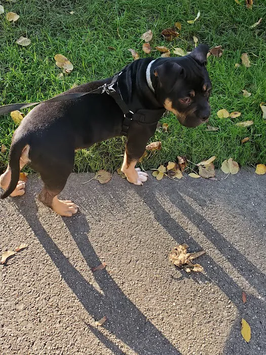 Hampton Animal Hospital Picture 6