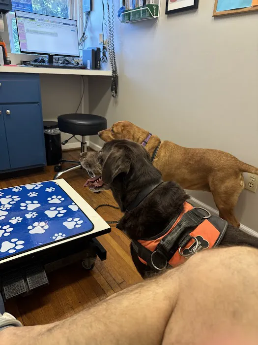 Hampton Animal Hospital Picture 9