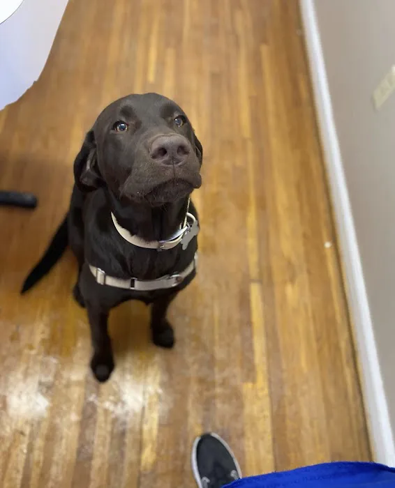 Hampton Animal Hospital Picture 8