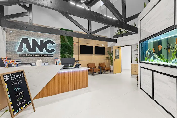 The Animal Neurology Center Picture 1