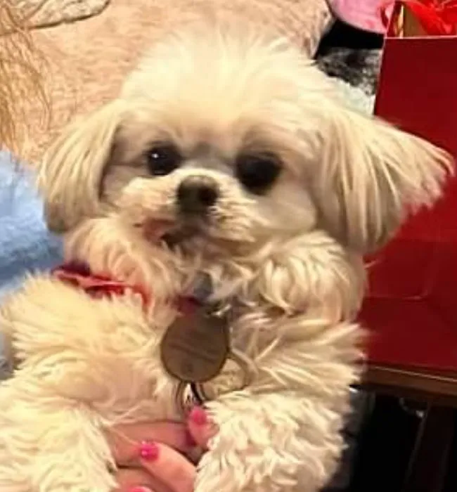 The Animal Neurology Center Picture 10