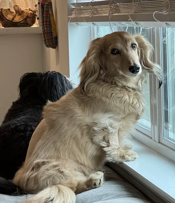 The Animal Neurology Center Picture 9