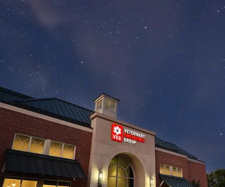 Veterinary Emergency Group