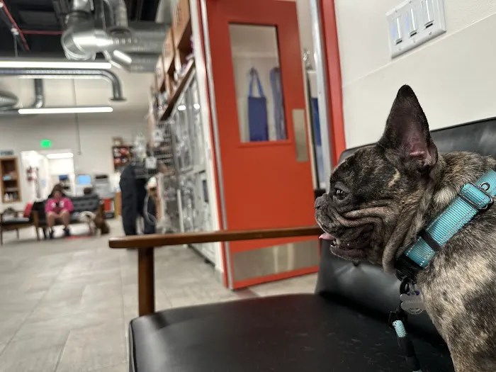 Veterinary Emergency Group Picture 2