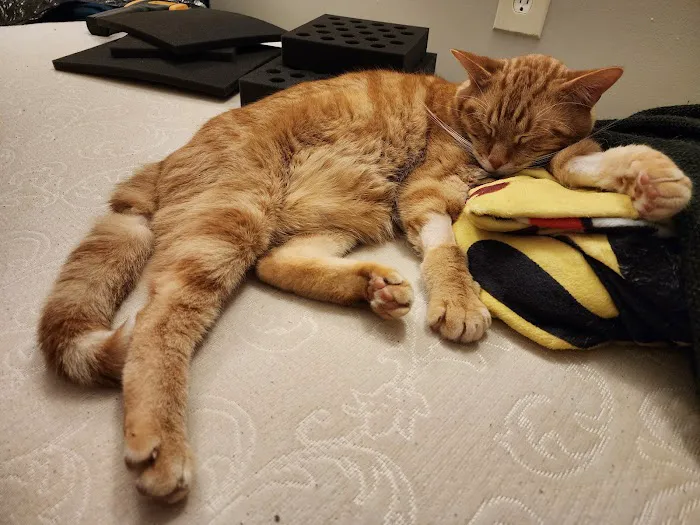 Veterinary Emergency Group Picture 4