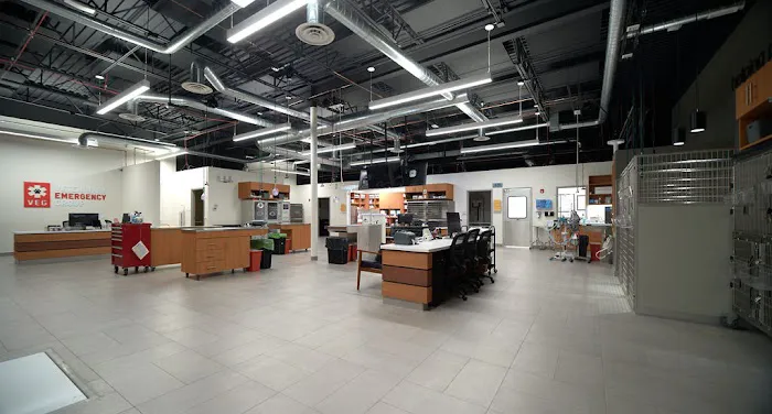 Veterinary Emergency Group Picture 8