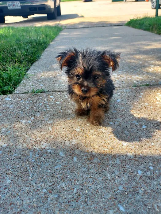 Veterinary Emergency Group Picture 9