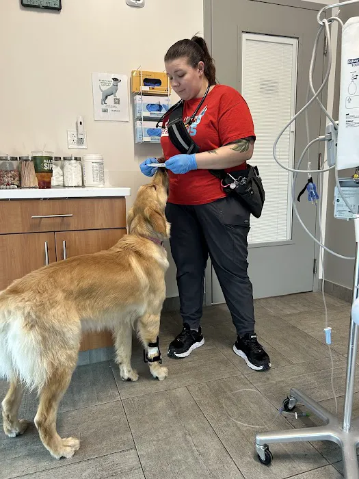 Veterinary Emergency Group Picture 10