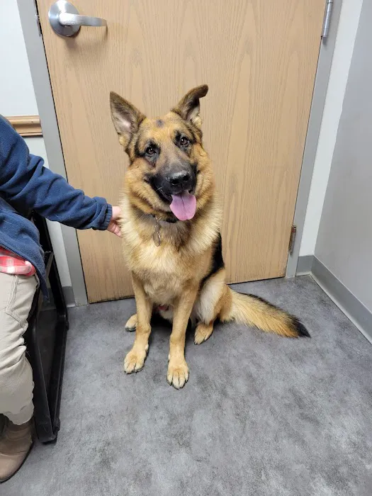 VCA Bal-Coeur Animal Hospital Picture 3