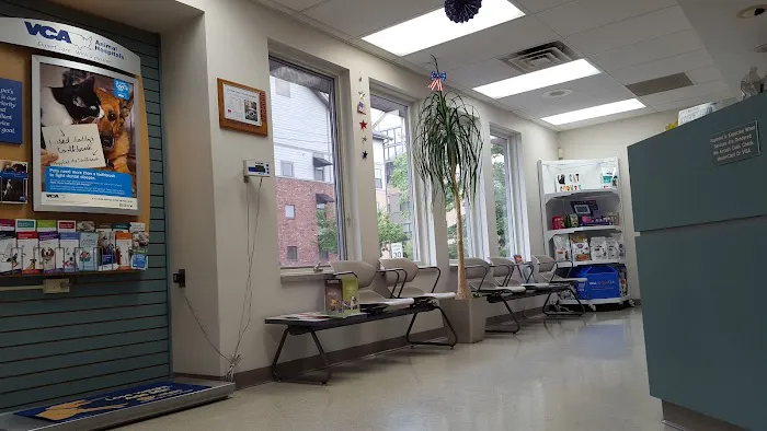 VCA Bal-Coeur Animal Hospital Picture 2