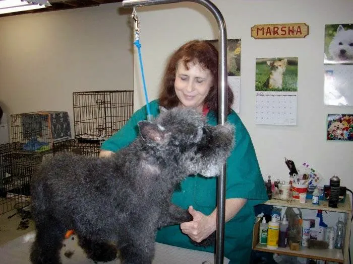 VCA Bal-Coeur Animal Hospital Picture 10