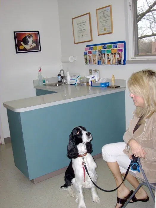 VCA Bal-Coeur Animal Hospital Picture 8