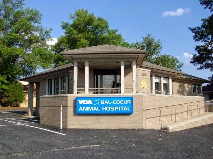 VCA Bal-Coeur Animal Hospital Picture 9