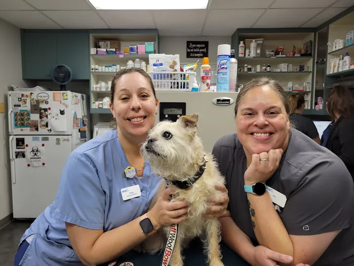 VCA Bal-Coeur Animal Hospital Picture 7