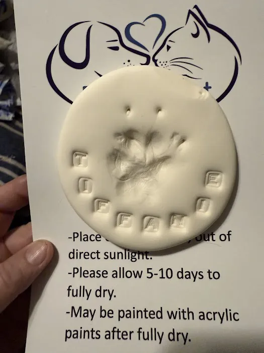 Pets At Rest Hospice Picture 1