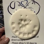 Pets At Rest Hospice