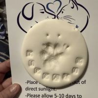 Pets At Rest Hospice ico