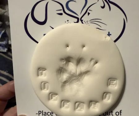 Pets At Rest Hospice