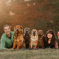 Creve Coeur Animal Hospital ico