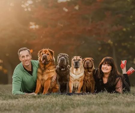 Creve Coeur Animal Hospital