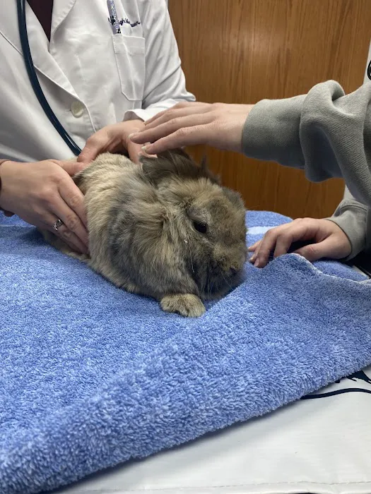 Creve Coeur Animal Hospital Picture 6