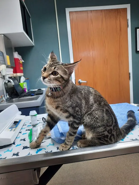 Creve Coeur Animal Hospital Picture 9