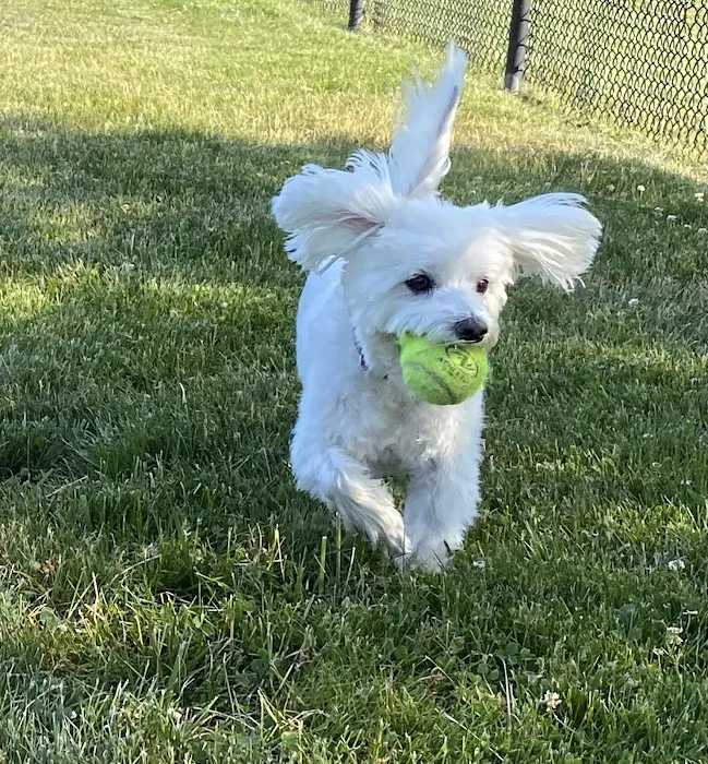 Heritage Veterinary Hospital Picture 4