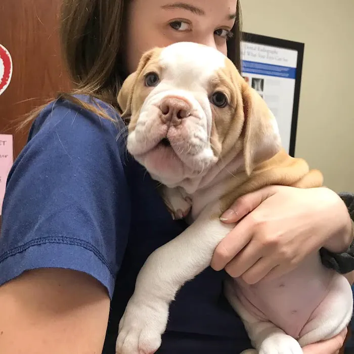 Heritage Veterinary Hospital Picture 3