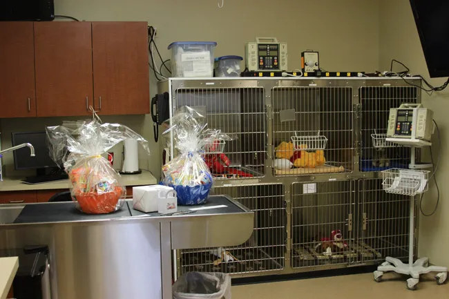 Heritage Veterinary Hospital Picture 8